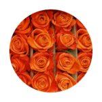 Zářivě krásná růže Orange Crush pěstovaná v Ekvádoru - ideální volba pro svou přírodní eleganci, velký květ, výjimečnou kvalitu, dlouhou životnost